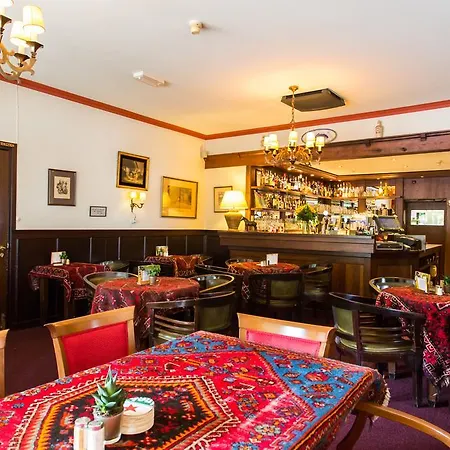 Hotel Cafe Restaurant De Gouden Karper 3*