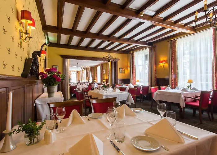 Hotel Cafe Restaurant De Gouden Karper 3*