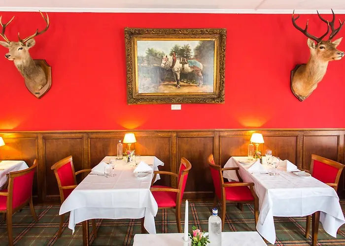 Cafe Restaurant De Gouden Karper Hotel