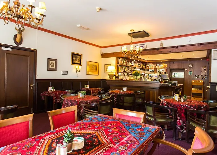 Hotel Cafe Restaurant De Gouden Karper 3*